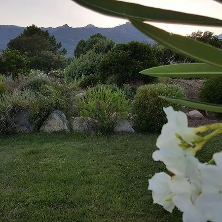 Porto Vecchio - Riviera - Sogno * Lecci