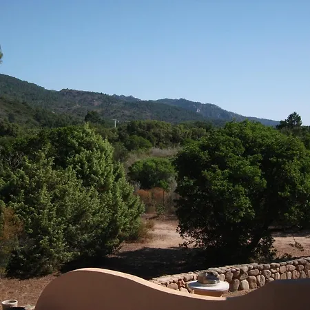 Porto Vecchio - Riviera - Sogno * Lecci