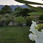 Riviera - La Sogno * Lecci