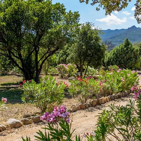 Résidence Riviera - Sogno