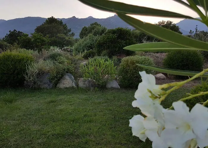 Résidence Riviera - Sogno * Lecci