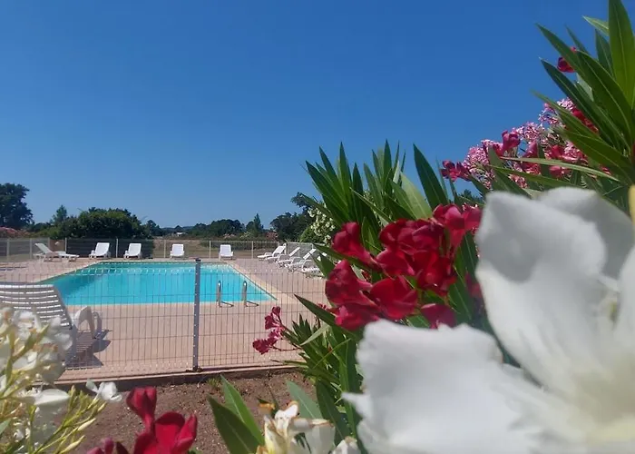 Hébergement de vacances Résidence Riviera - Sogno *