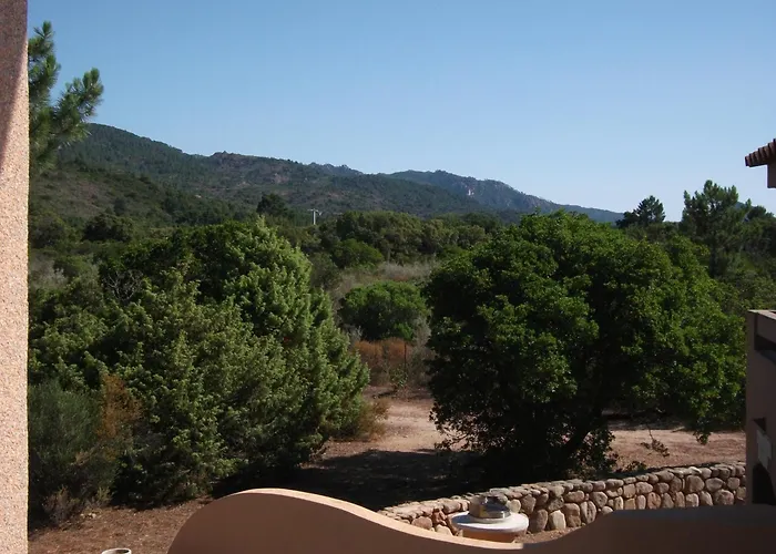 Porto Vecchio - Riviera - Sogno * Lecci