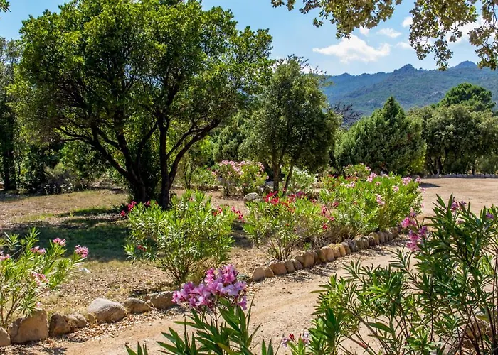 Porto Vecchio - Riviera - Sogno